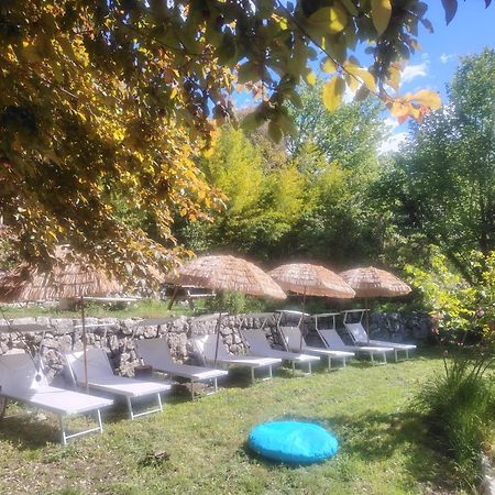 Domaine Des Petites Soeurs A 800M Du Centre Historique Avec 5200M2 De Parc Arbore Vence Eksteriør bilde